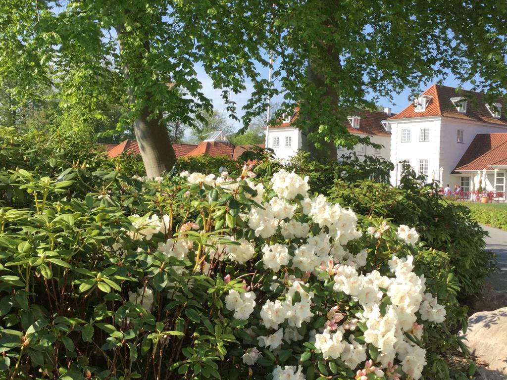 Rungstedgaard Hotel Kültér fotó